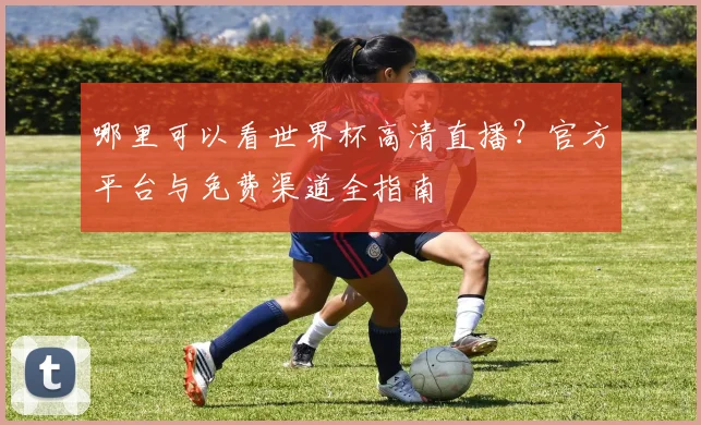 哪里可以看世界杯高清直播？官方平台与免费渠道全指南