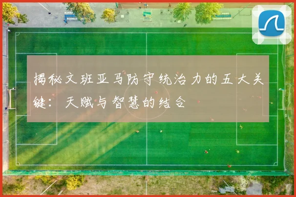 揭秘文班亚马防守统治力的五大关键：天赋与智慧的结合